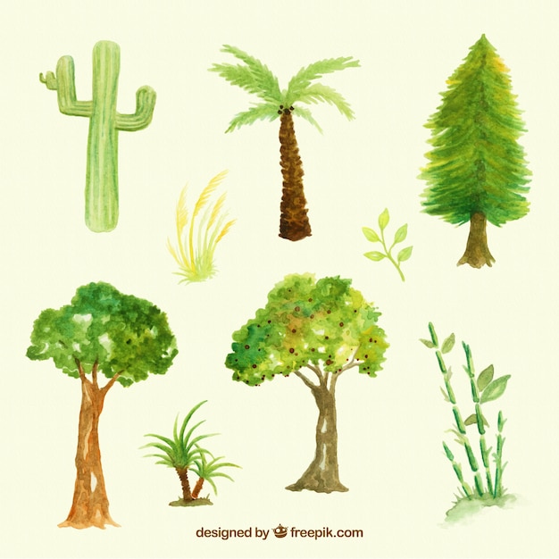 Set de tipos de árboles y plantas de acuarela 