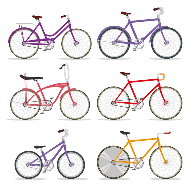 Set transporte bicicleta con pétalo y cadena