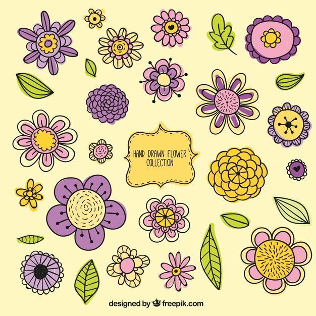 Set de variedad de flores vintage dibujadas a mano 