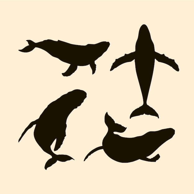 Silueta de ballena dibujada a mano