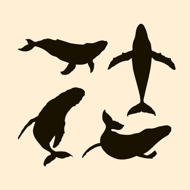 Silueta de ballena dibujada a mano
