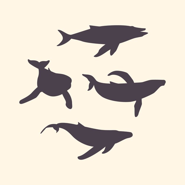 Silueta de ballena dibujada a mano