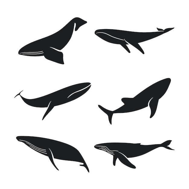 Vector gratuito silueta de ballena dibujada a mano