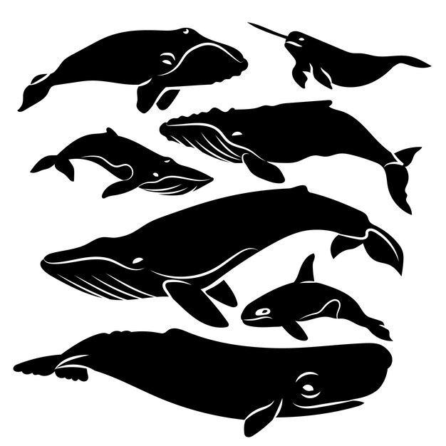 Silueta de ballena dibujada a mano
