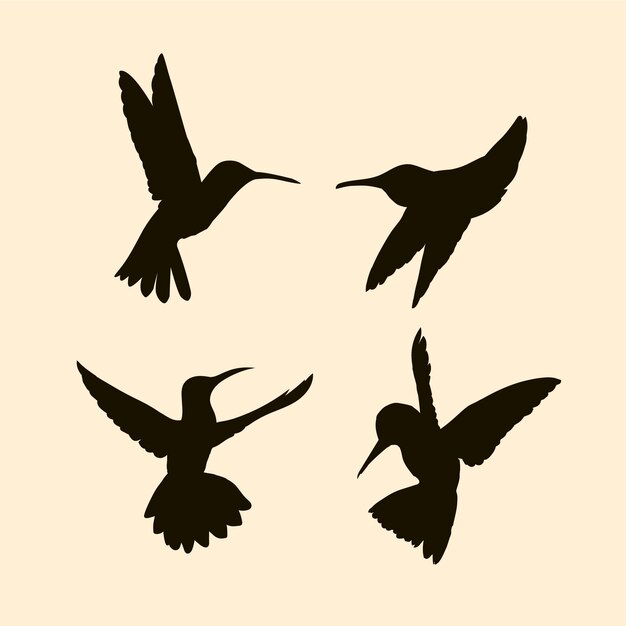 Silueta de colibrí dibujada a mano