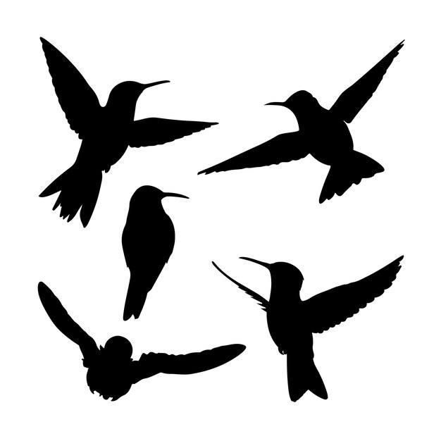 Silueta de colibrí dibujada a mano