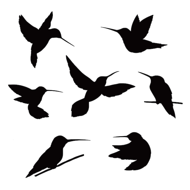 Silueta de colibrí dibujada a mano