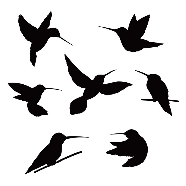 Silueta de colibrí dibujada a mano