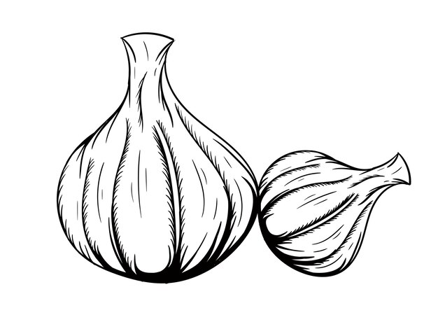Silueta de diseño de vector de ilustración de cebolla