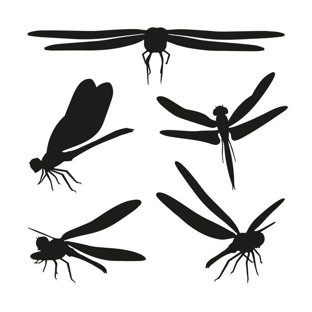 Silueta de libélula dibujada a mano