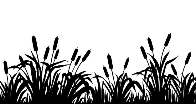 Silueta marsh cañas totora junco hierba Borde aislado de plantas de pantano