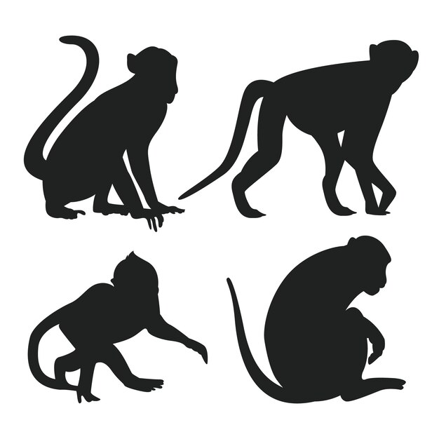 Silueta de mono dibujada a mano