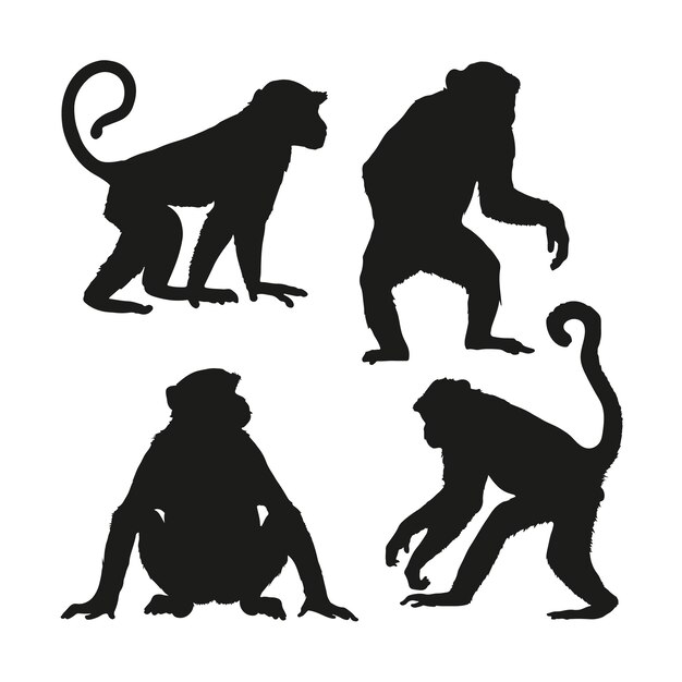 Silueta de mono dibujada a mano