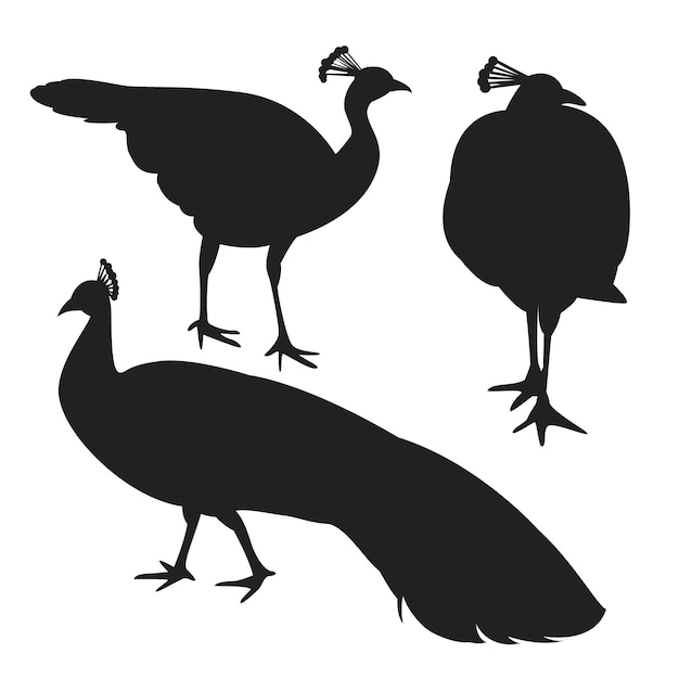 Silueta de pavo real dibujada a mano