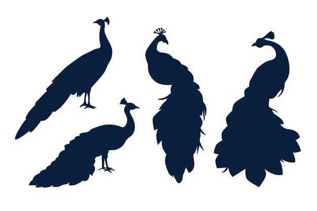 Silueta de pavo real dibujada a mano