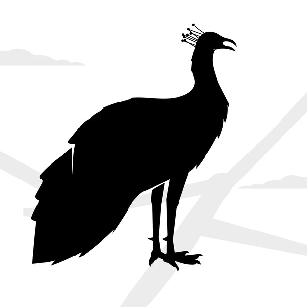 Silueta de pavo real dibujada a mano