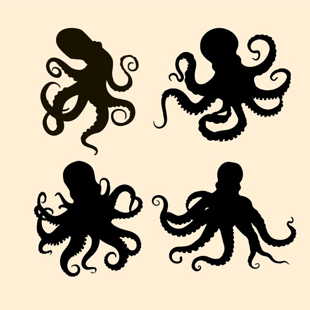 Silueta de pulpo dibujada a mano