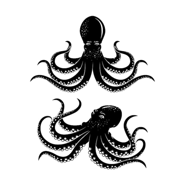 Silueta de pulpo dibujada a mano