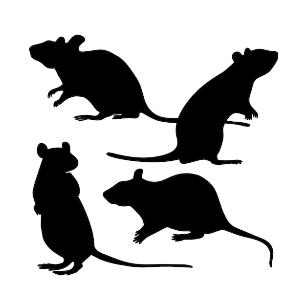 Silueta de rata dibujada a mano