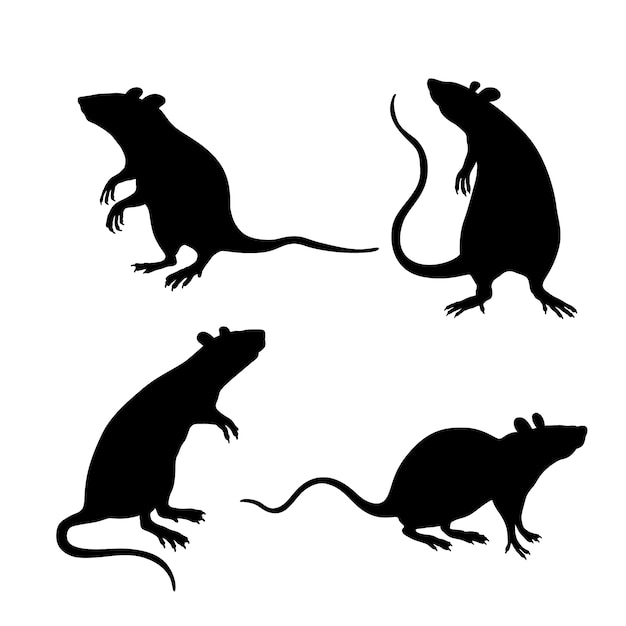 Silueta de rata dibujada a mano