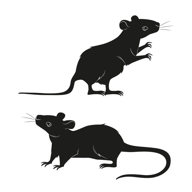 Silueta de rata dibujada a mano