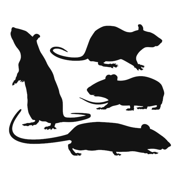 Silueta de rata dibujada a mano