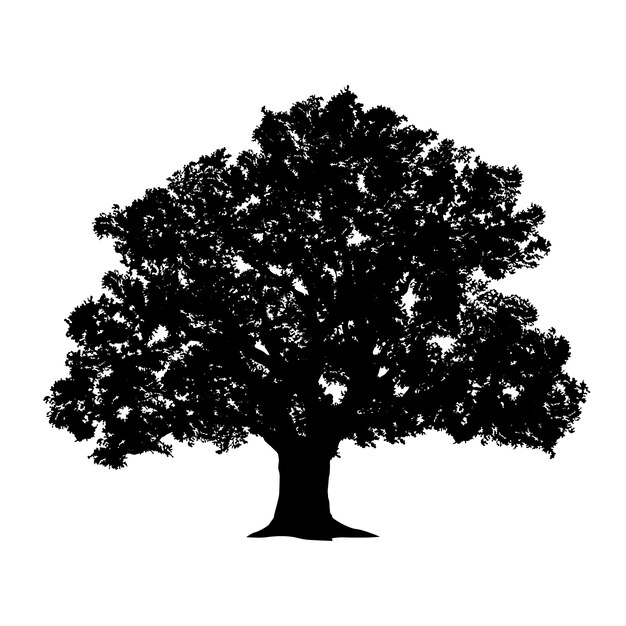 Silueta de roble dibujada a mano
