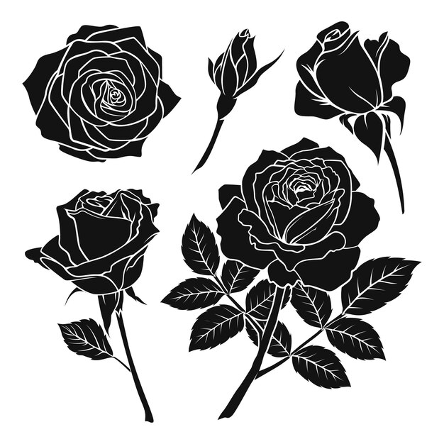 Silueta de rosa dibujada a mano