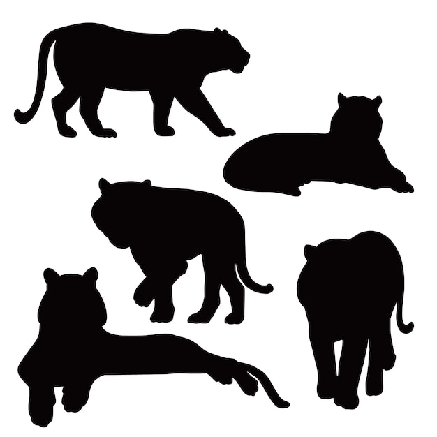 Silueta de tigre dibujada a mano