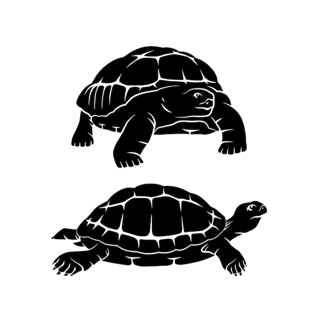 Silueta de tortuga dibujada a mano