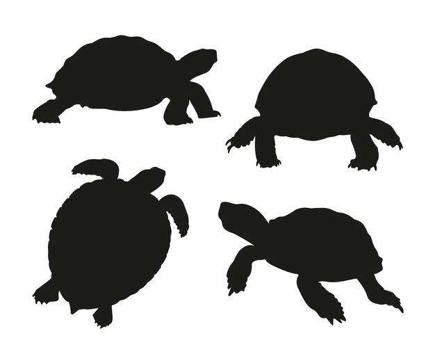 Silueta de tortuga dibujada a mano