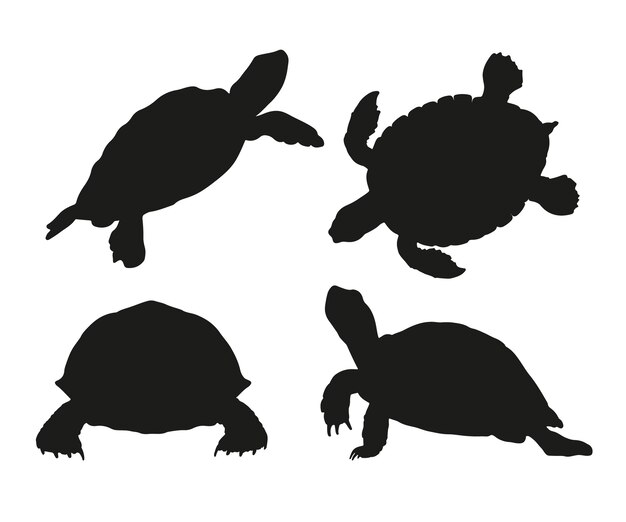 Silueta de tortuga dibujada a mano