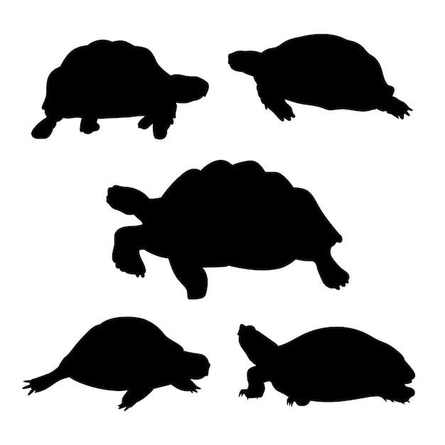 Vector gratuito silueta de tortuga dibujada a mano