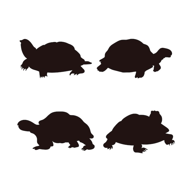 Silueta de tortuga dibujada a mano