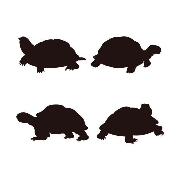Silueta de tortuga dibujada a mano