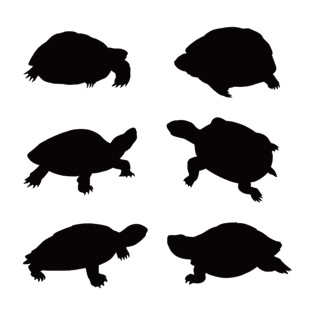 Vector gratuito silueta de tortuga dibujada a mano