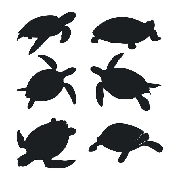 Silueta de tortuga dibujada a mano