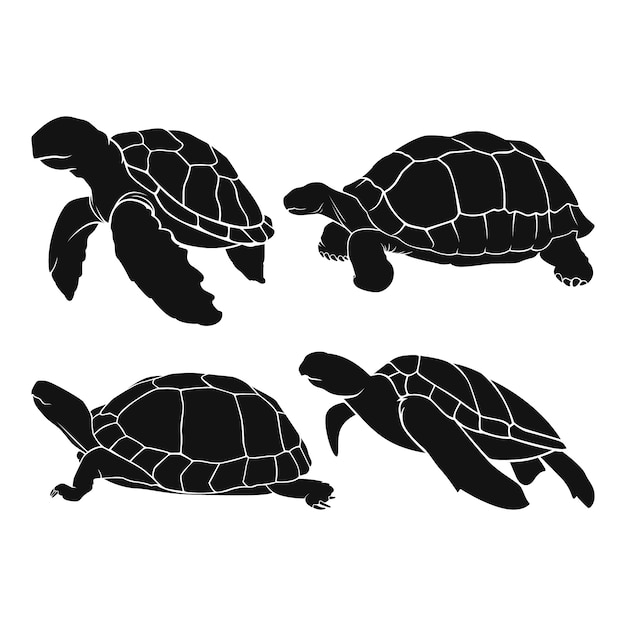 Vector gratuito silueta de tortuga dibujada a mano