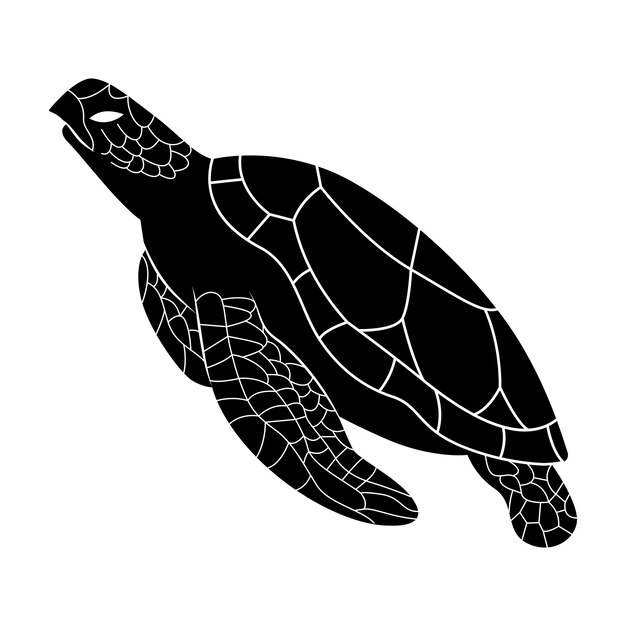Silueta de tortuga dibujada a mano