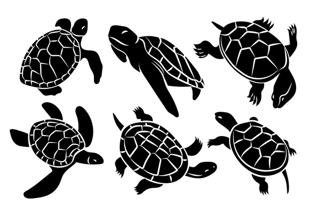 Silueta de tortuga dibujada a mano