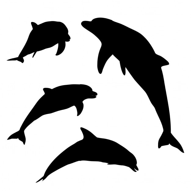 Vector gratuito siluetas de delfines en varias poses