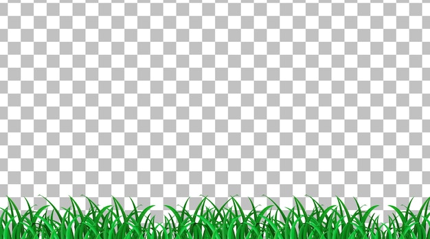 Un simple campo de hierba sobre un fondo transparente