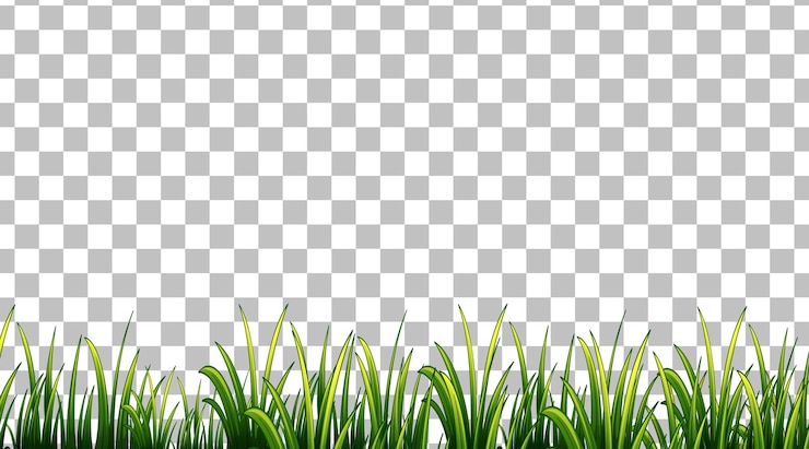 Vector gratuito un simple campo de hierba sobre un fondo transparente