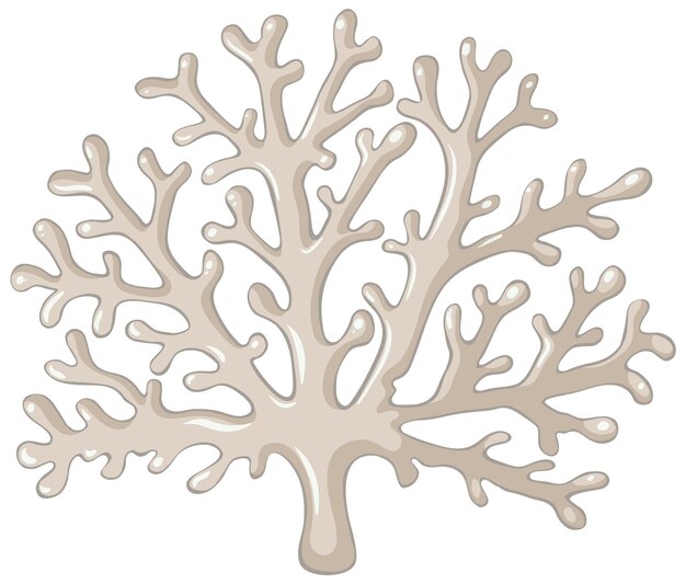 Un simple coral sobre fondo blanco.