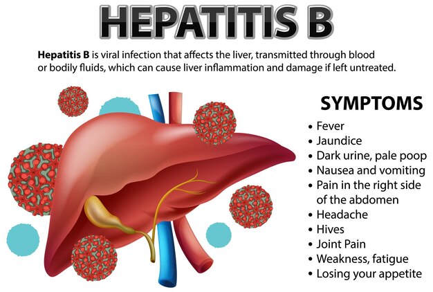 Síntomas de la hepatitis B