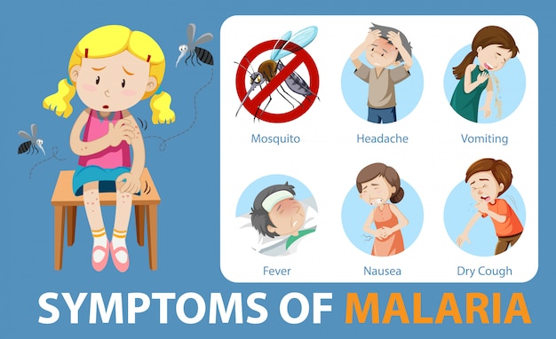 Síntomas de la infografía de estilo de dibujos animados de malaria