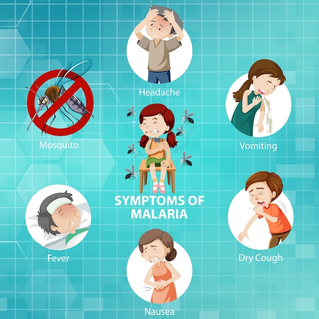 Vector gratuito síntomas de la infografía de estilo de dibujos animados de malaria