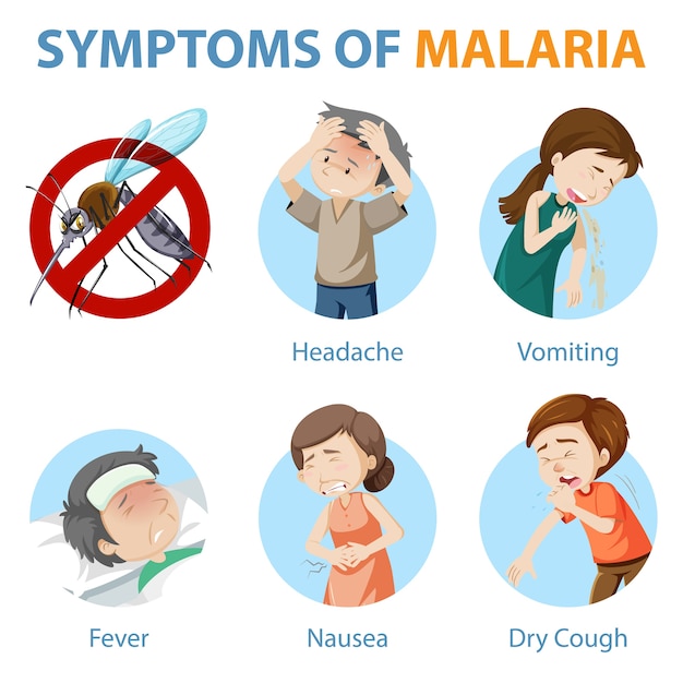 Síntomas de la infografía de estilo de dibujos animados de malaria