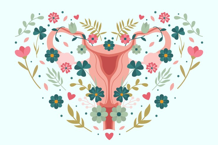 Vector gratuito sistema reproductor femenino con flores.