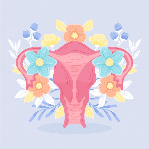 Vector gratuito sistema reproductor femenino con flores.